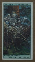 VINTAGE WILLS CIGARETTE CARDS LIFE IN THE TREE TOPS No # NUMBER 13 - £1.35 GBP