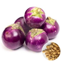 Hat Giong Ca Phao Tim Round Mauve Eggplant Seeds 1 Gram Gardening USA SH... - $14.09