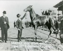 1919 - MAN O&#39; WAR after the winning Belmont Futurity - 10&quot; x 8&quot; - £15.95 GBP