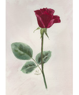 &quot;October Rose,&quot; an A. Rose Designs (tm) note card - $6.95+