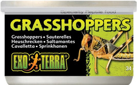 [Pack of 4] Exo Terra Grasshoppers Reptile Food 1.2 oz - £28.58 GBP