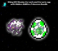 ✨ Shiny 6IV ✨ Hisuian Zoroark + Hisuian Zorua in egg Pokemon Scarlet Violet ✨ - £4.67 GBP