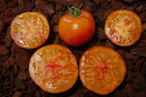 50 Seeds Beauty Queen Tomato Juicy Tomatoe Vegetable Edible Food Fresh - £8.06 GBP