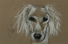 Saluki Dog Art Pastel Drawing Solomon - £63.01 GBP