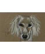 Saluki Dog Art Pastel Drawing Solomon - £63.94 GBP