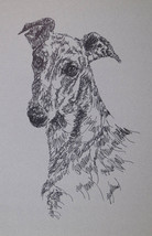 Greyhound Dog Art Print #347 Kline Adds Your Dogs Name Free. Blue Brindle Black - £39.24 GBP