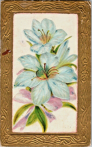 Postcard Holiday Easter Lilies Gold Embossed Border Design Posted 1911 5.5 x 3.5 - £6.69 GBP