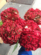 dried 6 red hydrangeas,red Preserved Dyed Hydrangea,dried hydreanges - £66.88 GBP