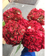 dried 6 red hydrangeas,red Preserved Dyed Hydrangea,dried hydreanges - $84.99