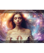 Law of Assumption Activation - $34.30 CAD