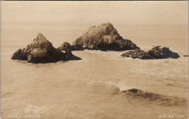 RPPC Seal Rocks P.P. no. 1230 Real Photo Postcard V10 - $6.95