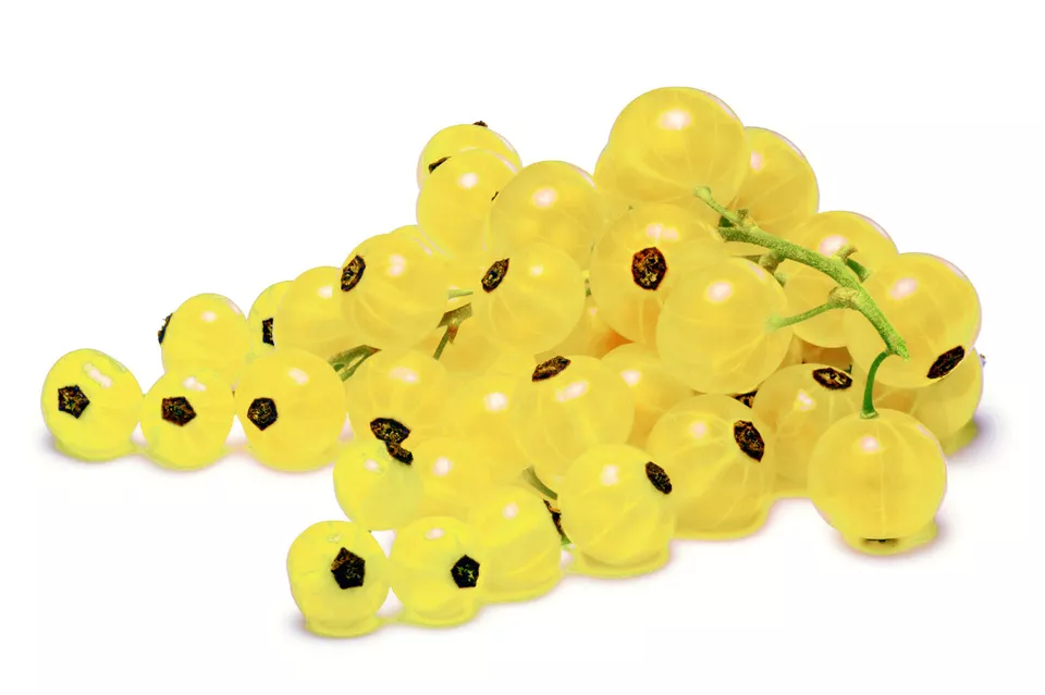 BPASTORE 20 Seeds Golden Currant Berry Ribes Aureum Edible Fruit Bush - $9.56