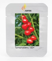 Heart Shaped Tomatoberry Tomato Seed Pack 100 Seeds Thick Juicy Sweet Aromatic T - $8.20