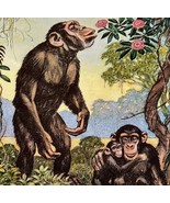 Chimpanzee Apes 1954 Art Print Paul Bransom Marlin Perkins Zooparade DWDD3 - $54.23 CAD