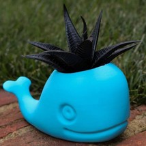 Whale Planter Flower Pot Planter Hand-Made Succulent Decoration  3D Print - £7.86 GBP