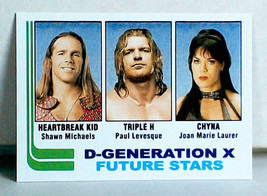 D-Generation X Future Stars: A Nine Pockets Custom Card - £3.99 GBP