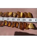 Real Natural Baltic Sea Amber Pieces Beads  for Pendant Jewelry Rough Wi... - $1,507.73 MXN