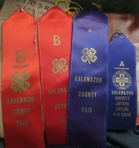 Unused Kalamazoo County Fair 4H 5 Ribbons Red Blue Vintage - $9.49