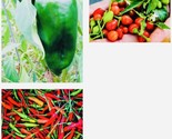 Variety Pack Thai Chili Pepper Chile Pequin Ancho Pepper Seeds Fast Ship... - $15.98