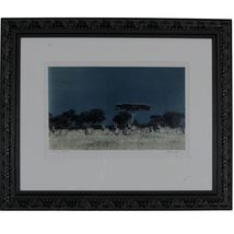 Zebras, Tanzania by John Wolf Signed Framed Photograph 24 x 20 - $199.17