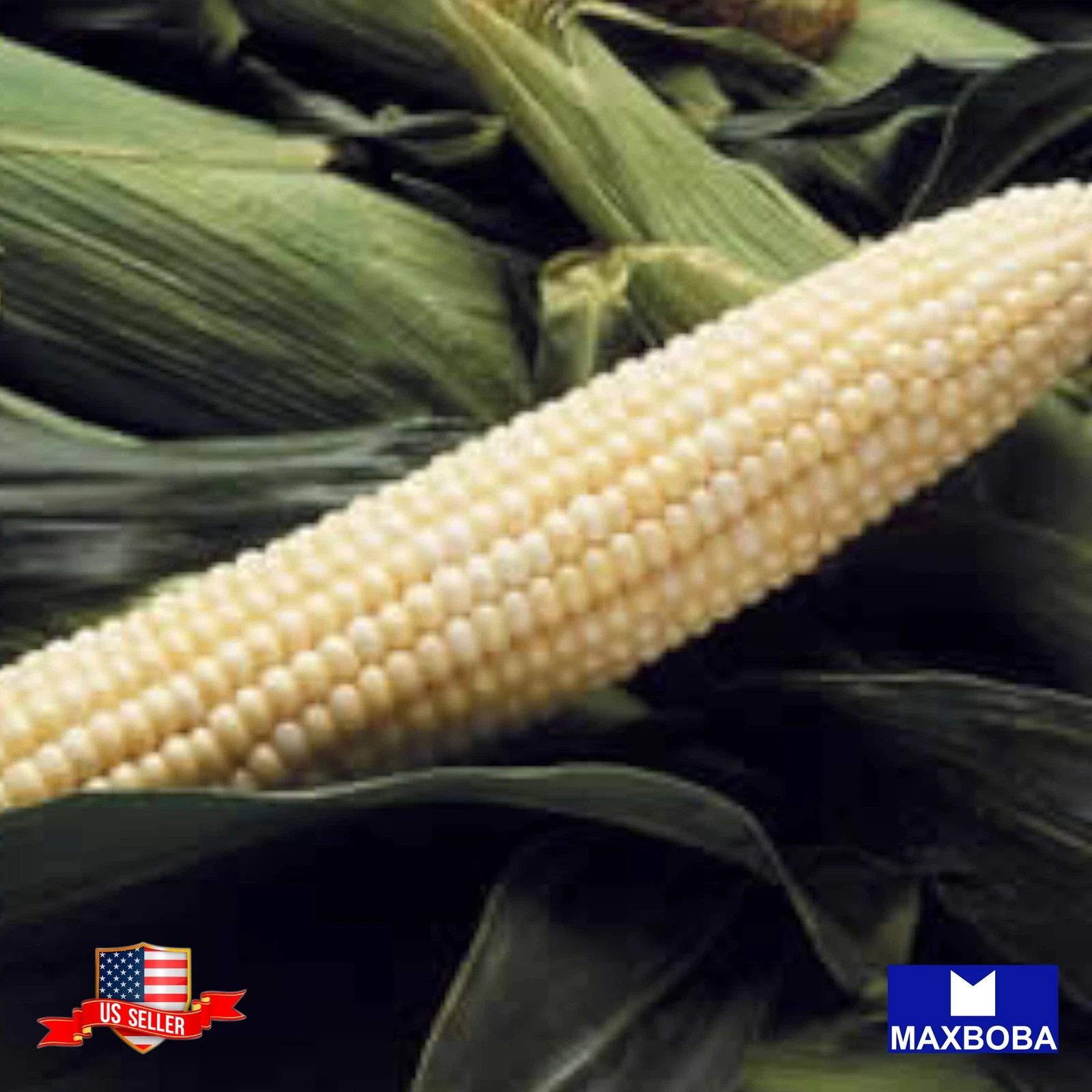 Corn Seeds Sweet Silver King Hybrid Vegetable Non-GMO - $12.37