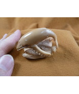 (tb-whale-9) tan Humpback Whale Tagua NUT palm figurine Bali love whales - $75.21 CAD