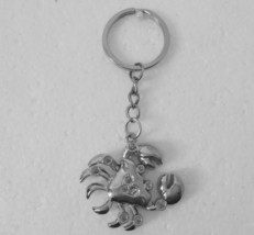 Cancer keyring Chain Gift keyChain Valentine&#39;s Gift Silver Cancer Gift U... - $9.90