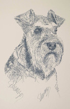 MINIATURE SCHNAUZER DOG ART by Kline WORD DRAWING #47 Your dogs name add... - £39.92 GBP