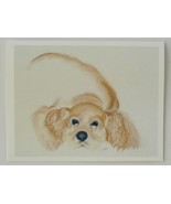 Cocker Spaniel Note Cards Dog Art Solomon - £9.77 GBP