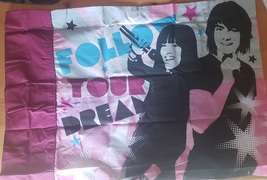 *Camp Rock Mitchie &amp; Shane Follow Your Dream Disney (20x28) Pillowcase S... - $15.82