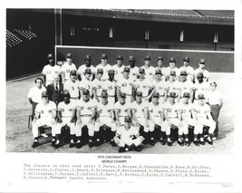 1975 CINCINNATI REDS 8X10 TEAM PHOTO BASEBALL PICTURE WORLD CHAMPS MLB - $4.94