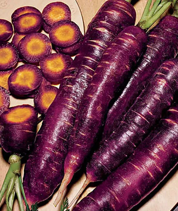 1000 Purple Dragon Carrot Seeds for Garden Planting - $5.48