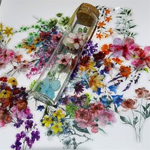50 Pieces Natural Flower Themed Stickers for Scrapbooking Self Adhesive  - $289.68 MXN