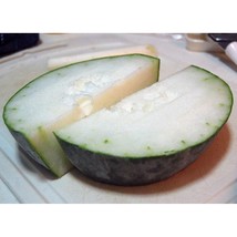 Canton Giant Winter Melon  10 Seeds  Garden Beautiful USA SELLER - £6.71 GBP