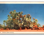 Prickly Pear Cactus Linen Postcard N25 - $2.32