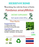 Pandanus Amaryllifolius: Fragrant Herb with Remarkable Health Benefits - $182.44 MXN