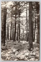 Michigan RPPC Walker On Trail Route Near Porcupine Mts Park Photo Postcard B31 - £10.21 GBP