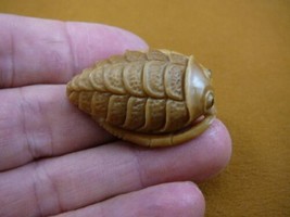 (tb-trilo-4) baby tan trilobite Tagua NUT palm figurine Bali carving tri... - £38.50 GBP