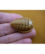 (tb-trilo-4) baby tan trilobite Tagua NUT palm figurine Bali carving tri... - $49.08
