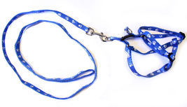 Dog Training Leash Harness Collar Paw Print Rope Long Strap Durable #MCK11 - $18.99