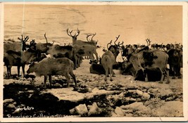 RPPC Reindeer At Golovin Mission Alaska AK 1910 DB Postcard C9 - £12.37 GBP