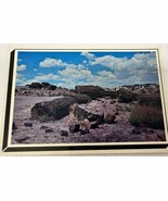 Giant Logs At the Rainbow Forest Museum, Petrified Forest National Park ... - €3,62 EUR