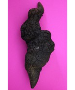 Giant Lizard Poop 5 Million Years Old Coprolite Genuine Fossil Dino Girl... - $41.13 CAD