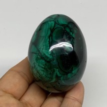 0.54 lbs, 2.4&quot;x1.8&quot;, Natural Solid Malachite Egg Polished Gemstone @Cong... - £155.03 GBP