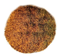Black Mustard Powder - Mustard and Pawpaw Mustard, Sinapis nigra - £3.38 GBP+
