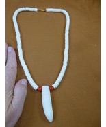 G160-303 2-3/8&quot; GATOR Alligator T**th white water buffalo red pearl 21&quot; ... - $120.62 CAD