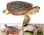 Painted Turtle Wildlife Educational Animal Toy for Children - $9.89+