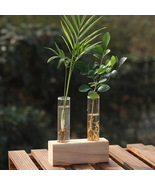 Hydroponic Plant Glass Vase, Hydroponic Plant Growing Bottle, Home Decor - £14.21 GBP+