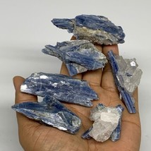 206.6g, 1.8&quot;-2.8&quot;, 6pcs, Rough Raw Blue Kyanite Chunk Mineral @Brazil, B32850 - £35.60 GBP