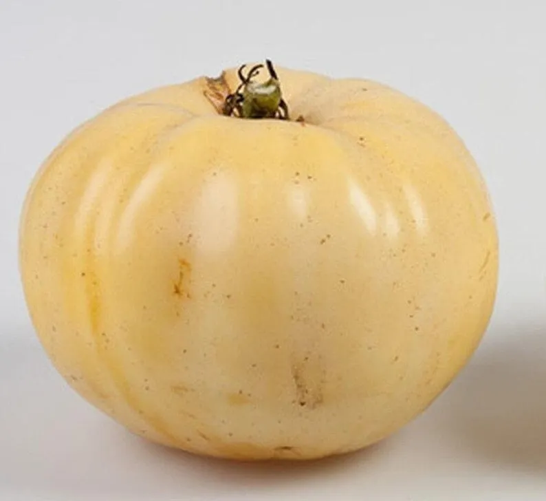 TKBONStore White Wonder Beefsteak Tomato Ct Vegetable Heirloom Non-Gmo 5... - £7.27 GBP